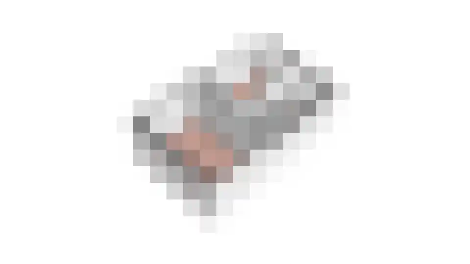 Vossegatselaan 63 Utrecht thumbnail 34