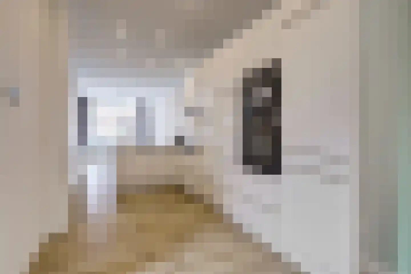 Vossegatselaan 66 Utrecht thumbnail 10