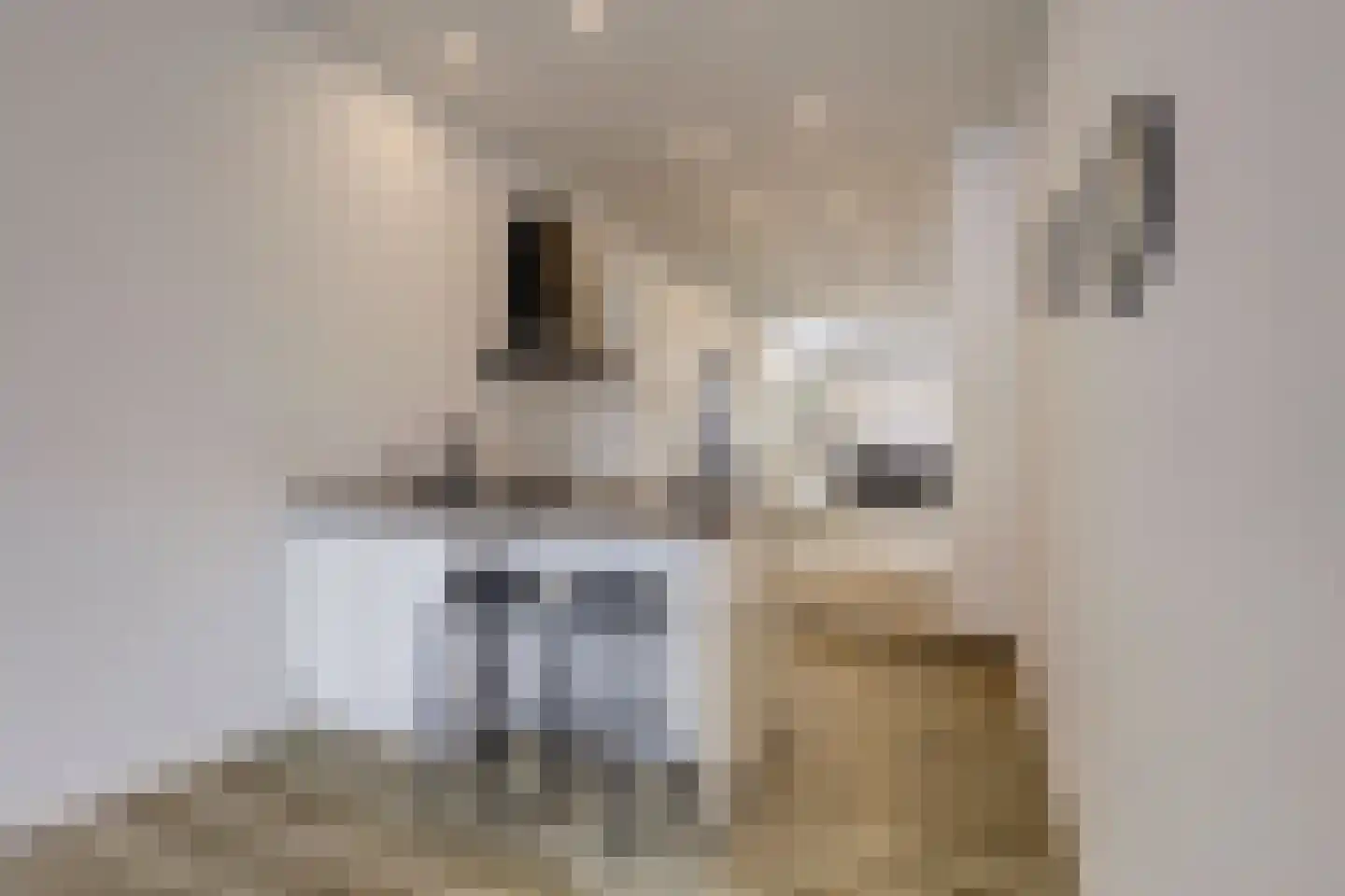 Vossegatselaan 66 Utrecht thumbnail 12
