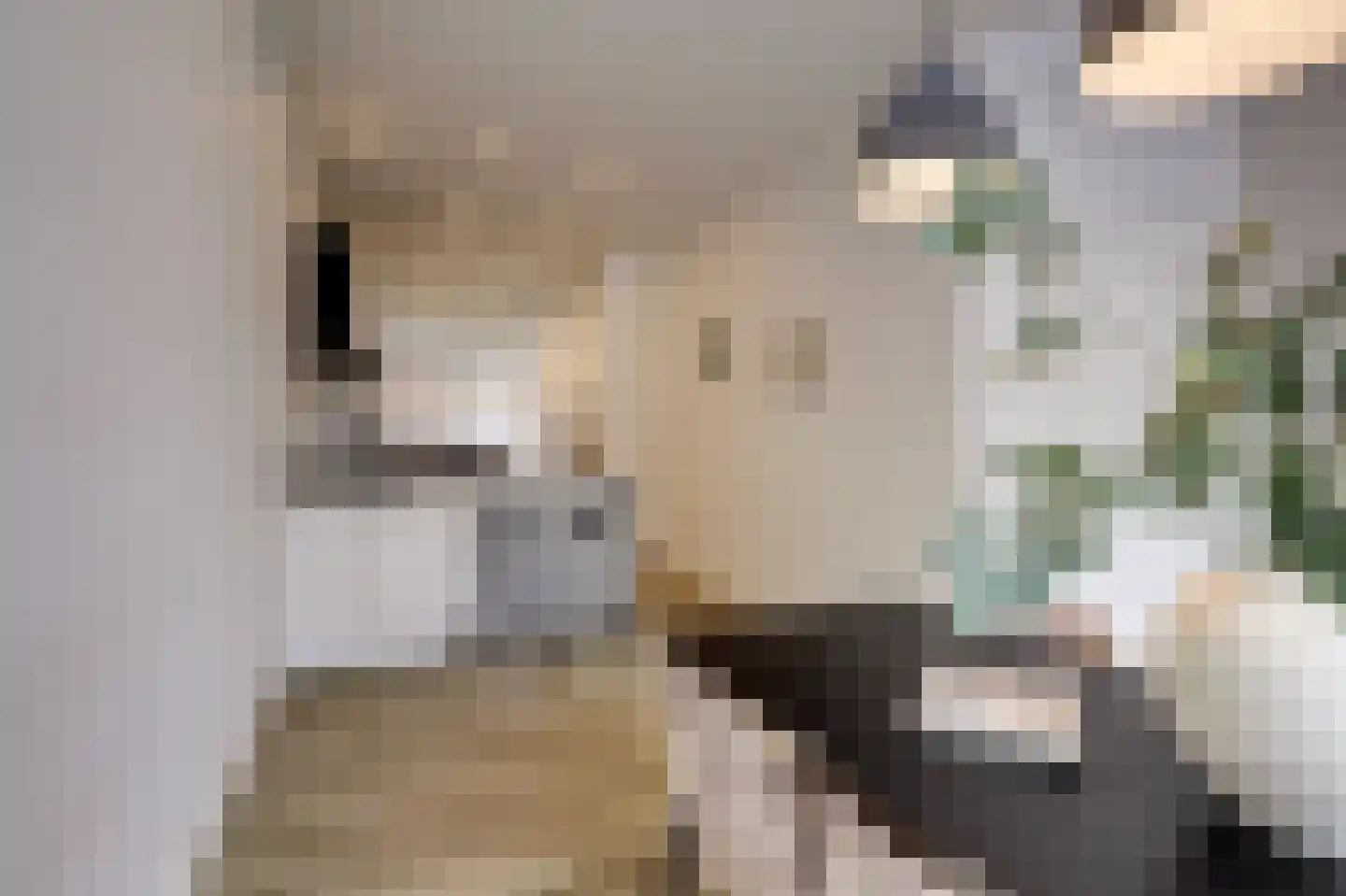 Vossegatselaan 66 Utrecht thumbnail 13
