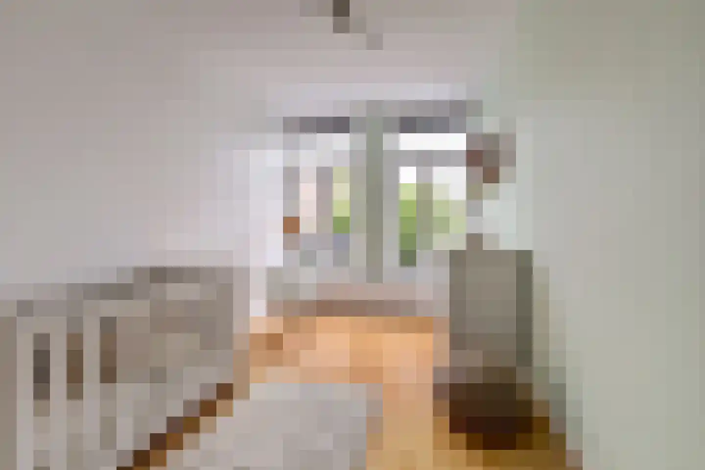 Vossegatselaan 66 Utrecht thumbnail 20