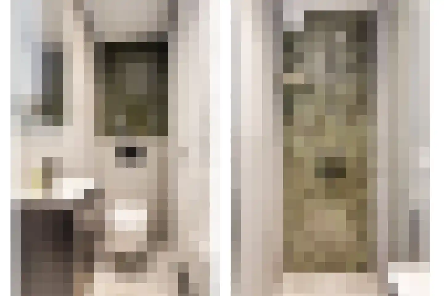 Vossegatselaan 66 Utrecht thumbnail 33