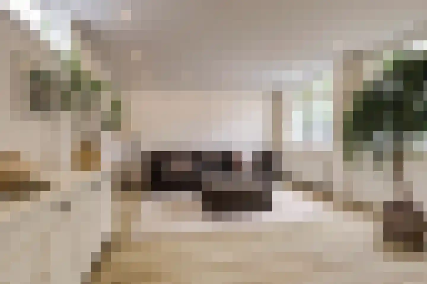 Vossegatselaan 66 Utrecht thumbnail 6
