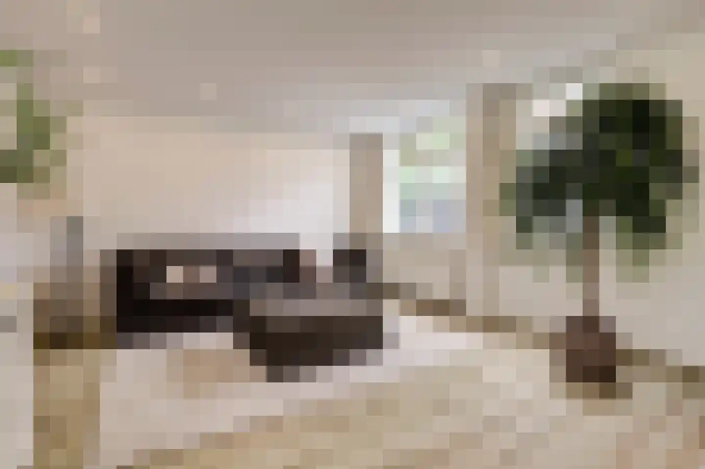 Vossegatselaan 66 Utrecht thumbnail 7