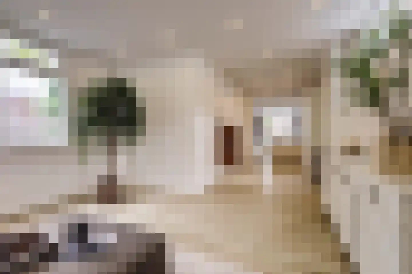 Vossegatselaan 66 Utrecht thumbnail 8