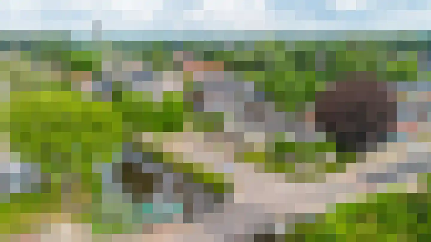 Vosseheer 1 Donkerbroek thumbnail 10