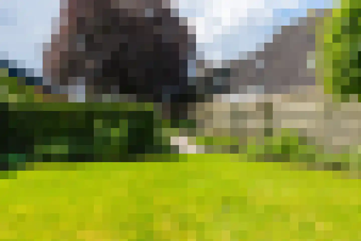 Vosseheer 1 Donkerbroek thumbnail 11