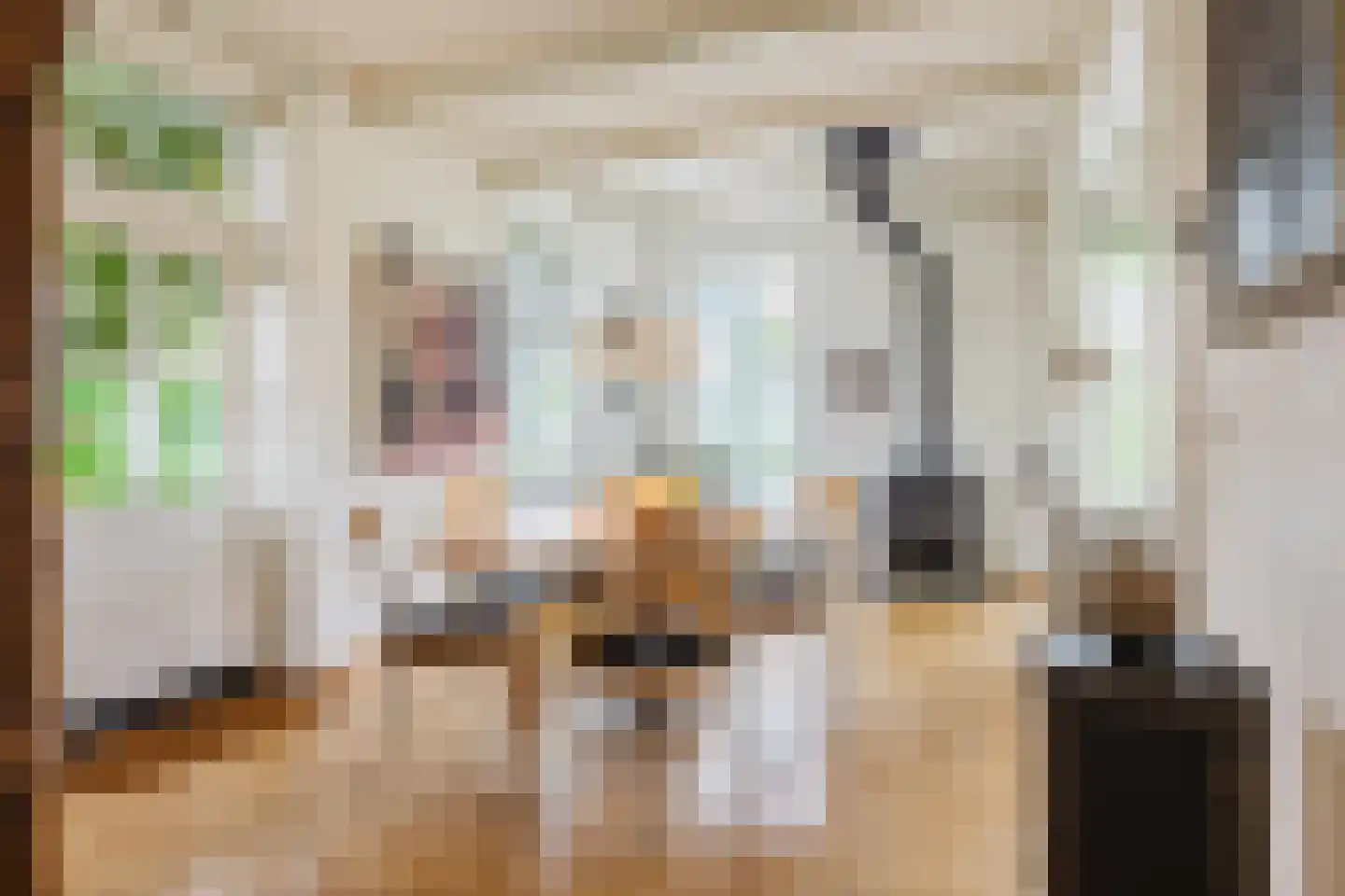 Vosseheer 1 Donkerbroek thumbnail 12