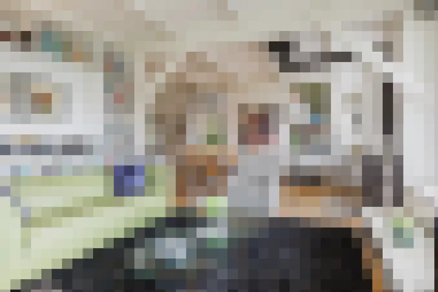 Vosseheer 1 Donkerbroek thumbnail 13