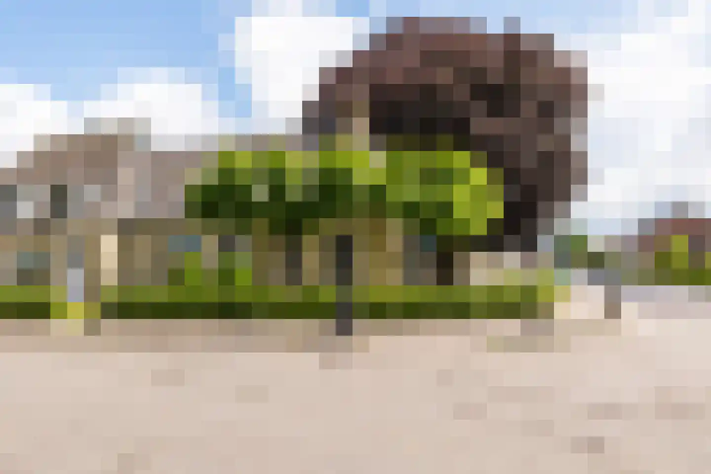 Vosseheer 1 Donkerbroek thumbnail 13