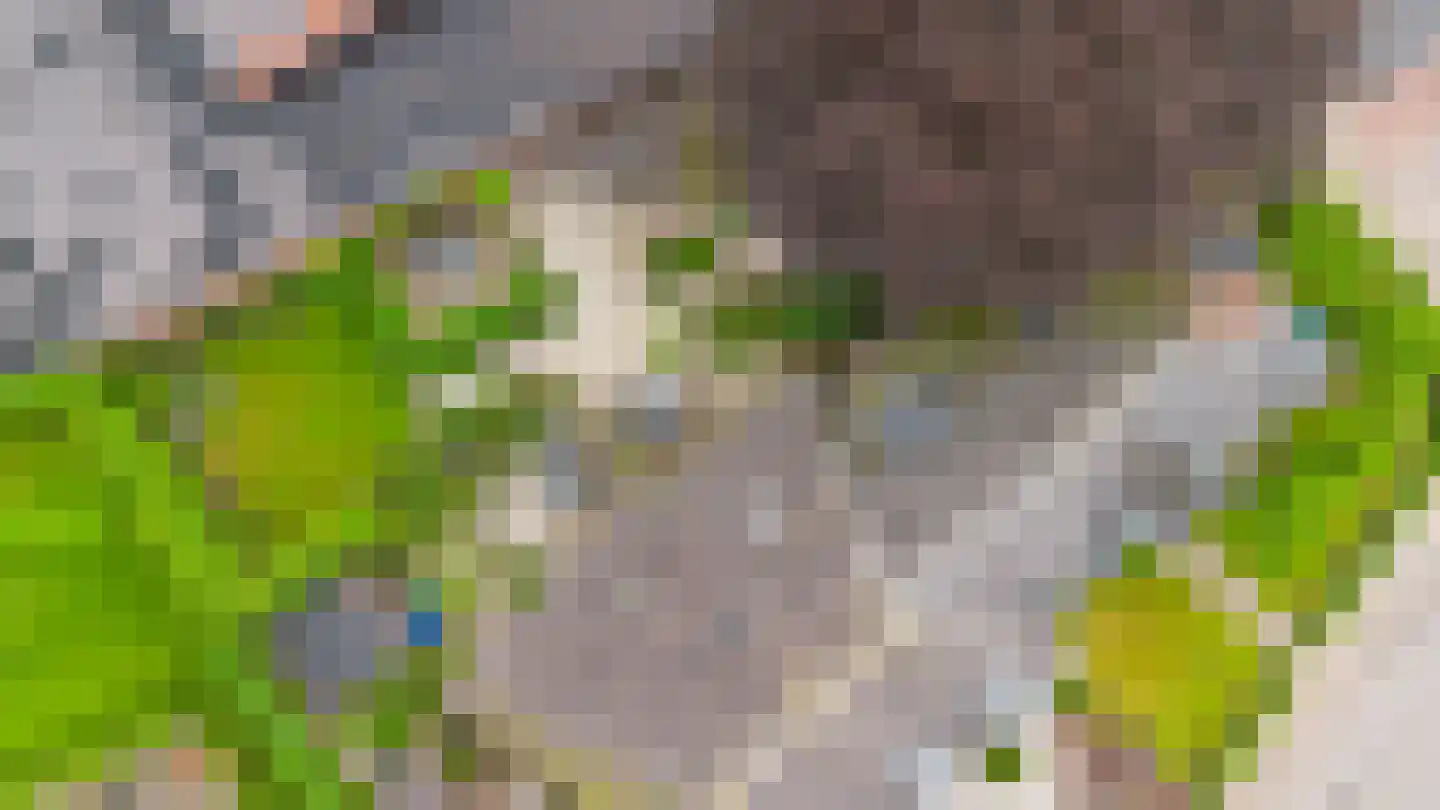 Vosseheer 1 Donkerbroek thumbnail 14
