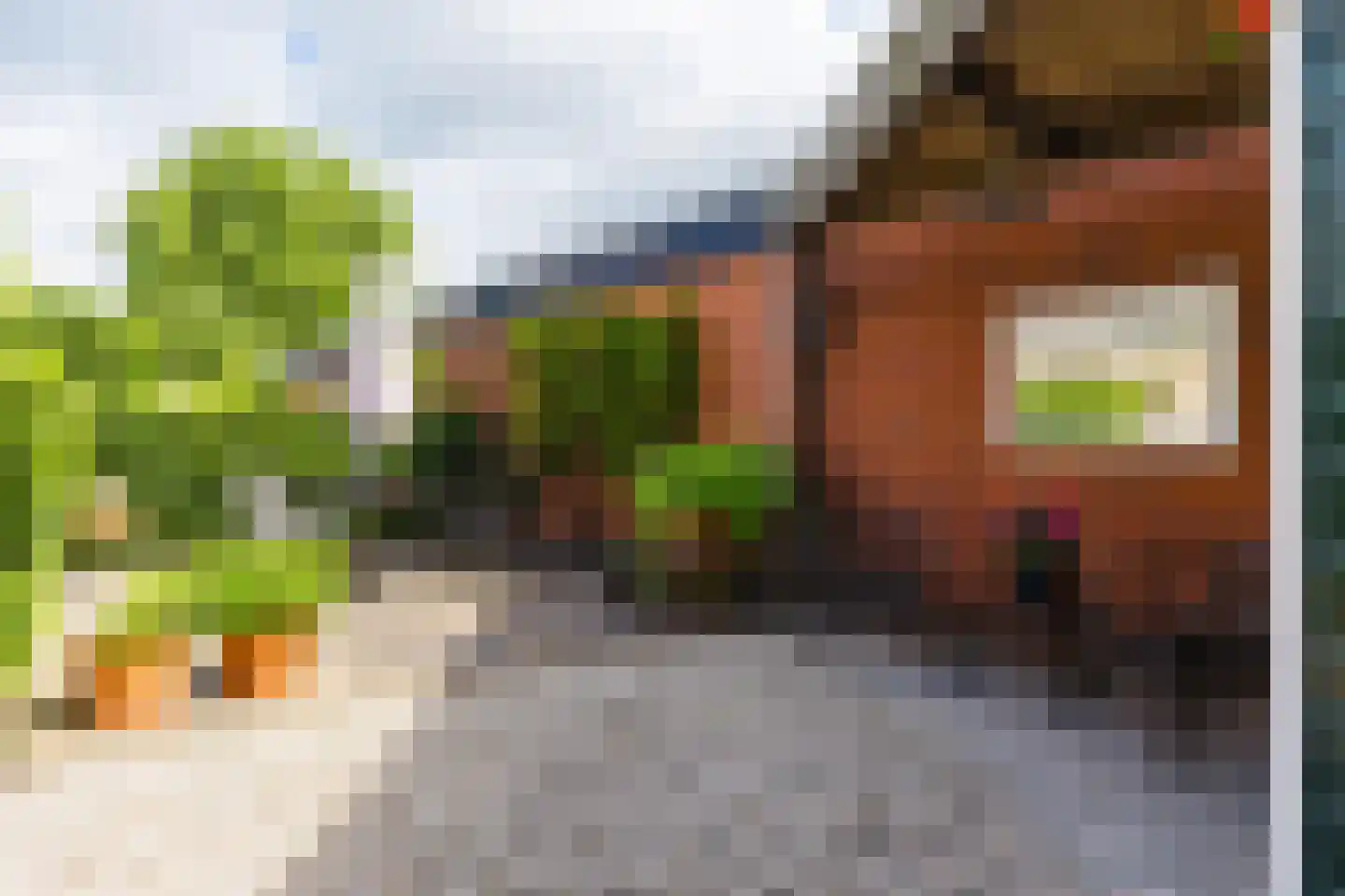Vosseheer 1 Donkerbroek thumbnail 18