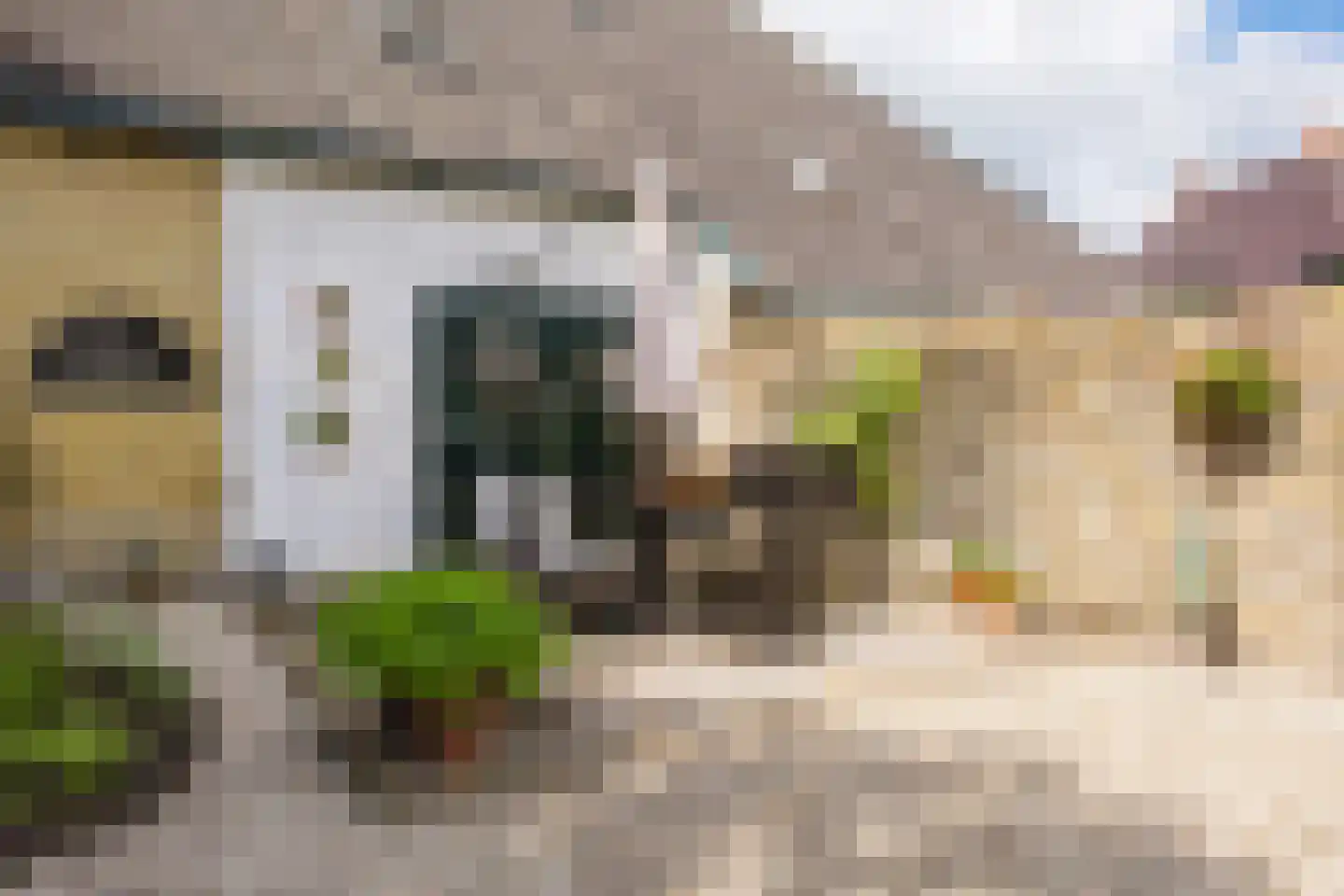 Vosseheer 1 Donkerbroek thumbnail 20