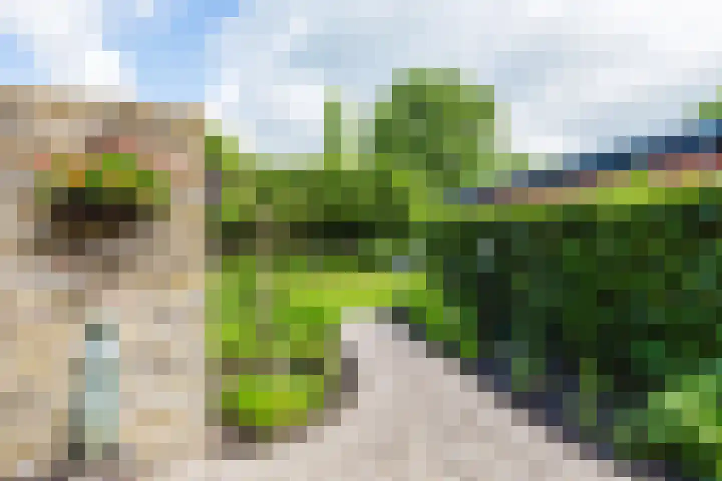 Vosseheer 1 Donkerbroek thumbnail 21
