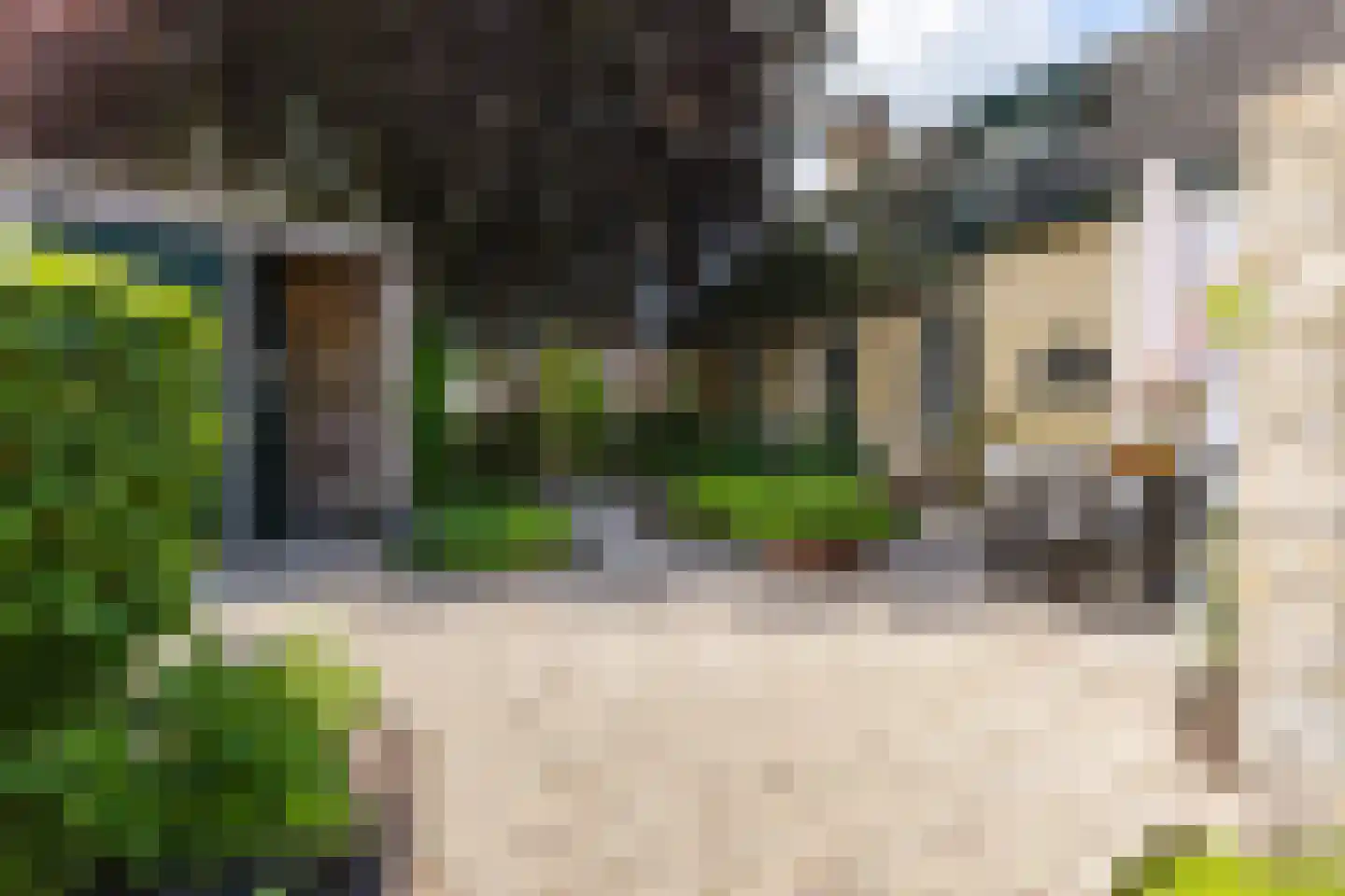 Vosseheer 1 Donkerbroek thumbnail 23