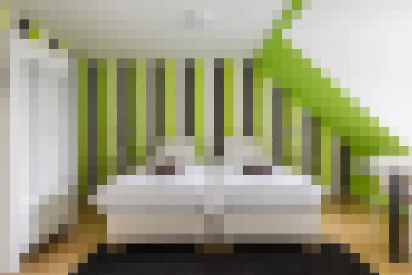 Vosseheer 1 Donkerbroek thumbnail 24
