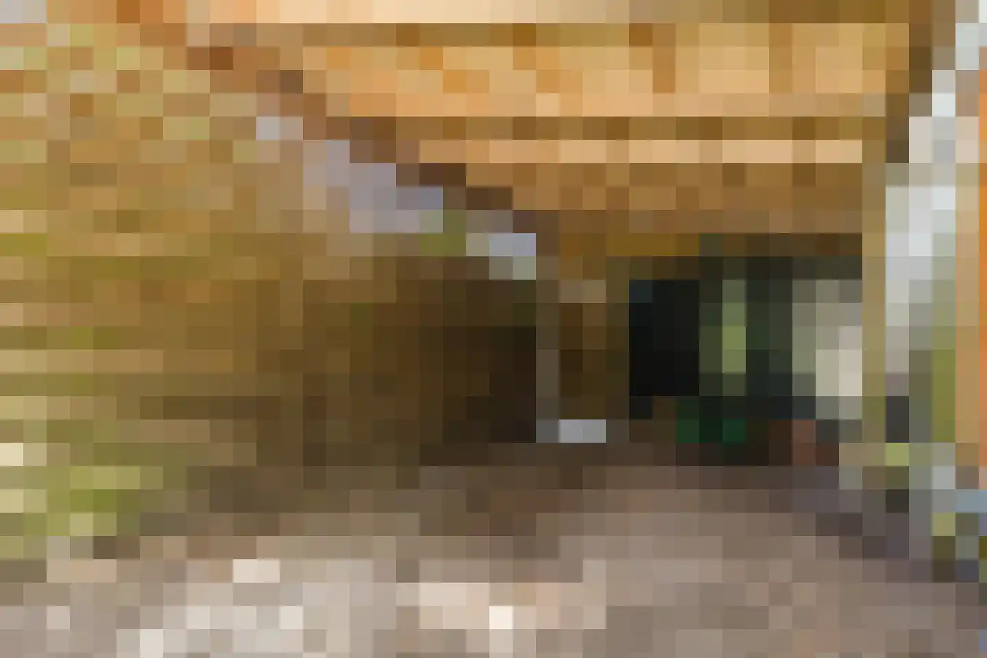 Vosseheer 1 Donkerbroek thumbnail 25
