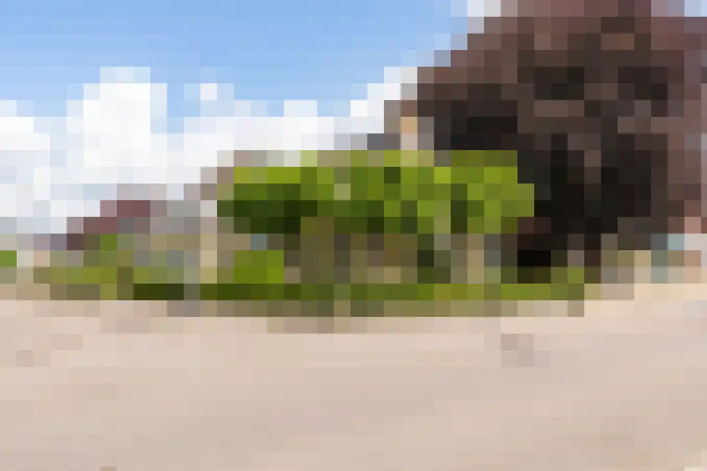 Vosseheer 1 Donkerbroek thumbnail 26