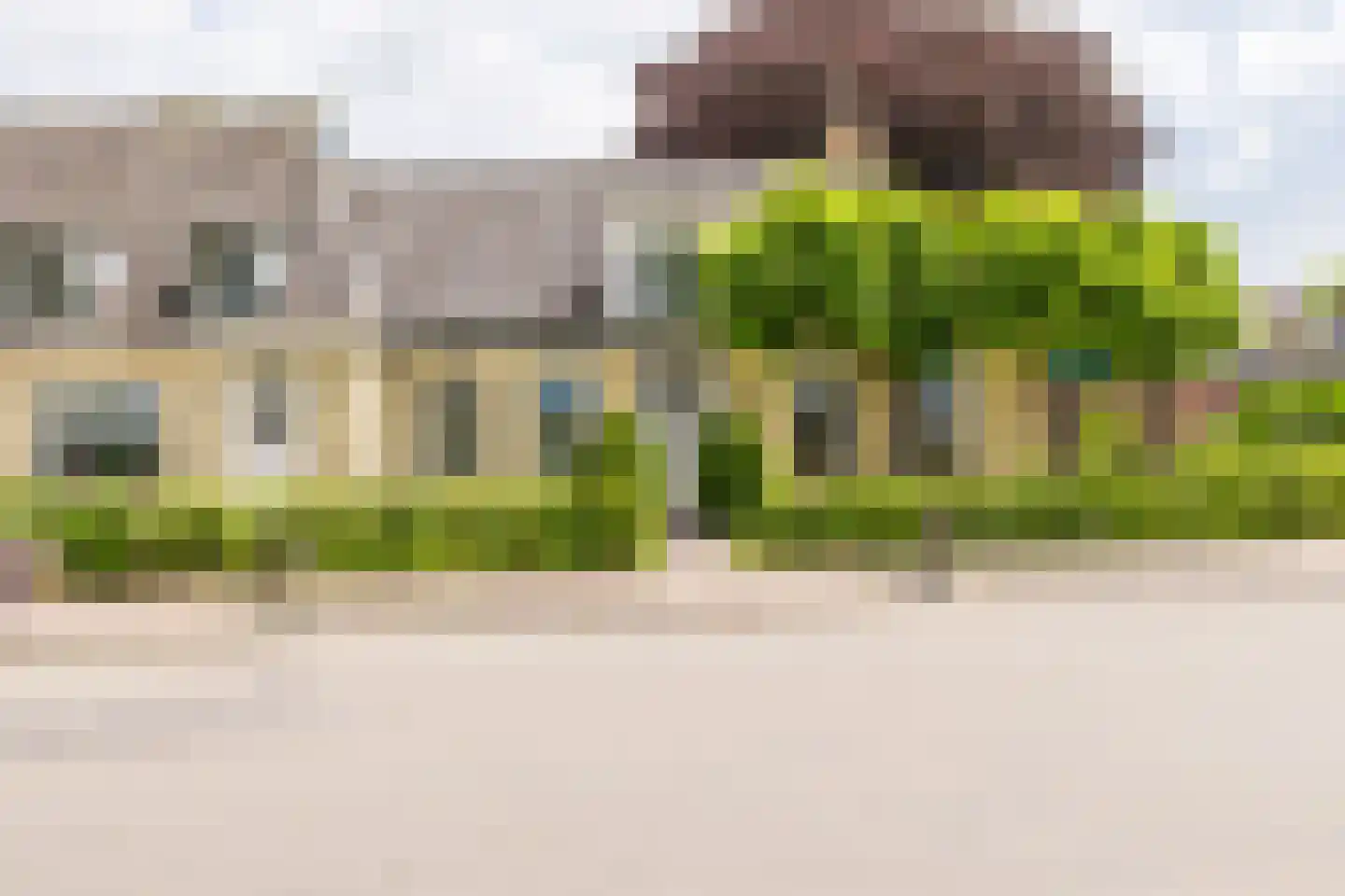 Vosseheer 1 Donkerbroek thumbnail 29