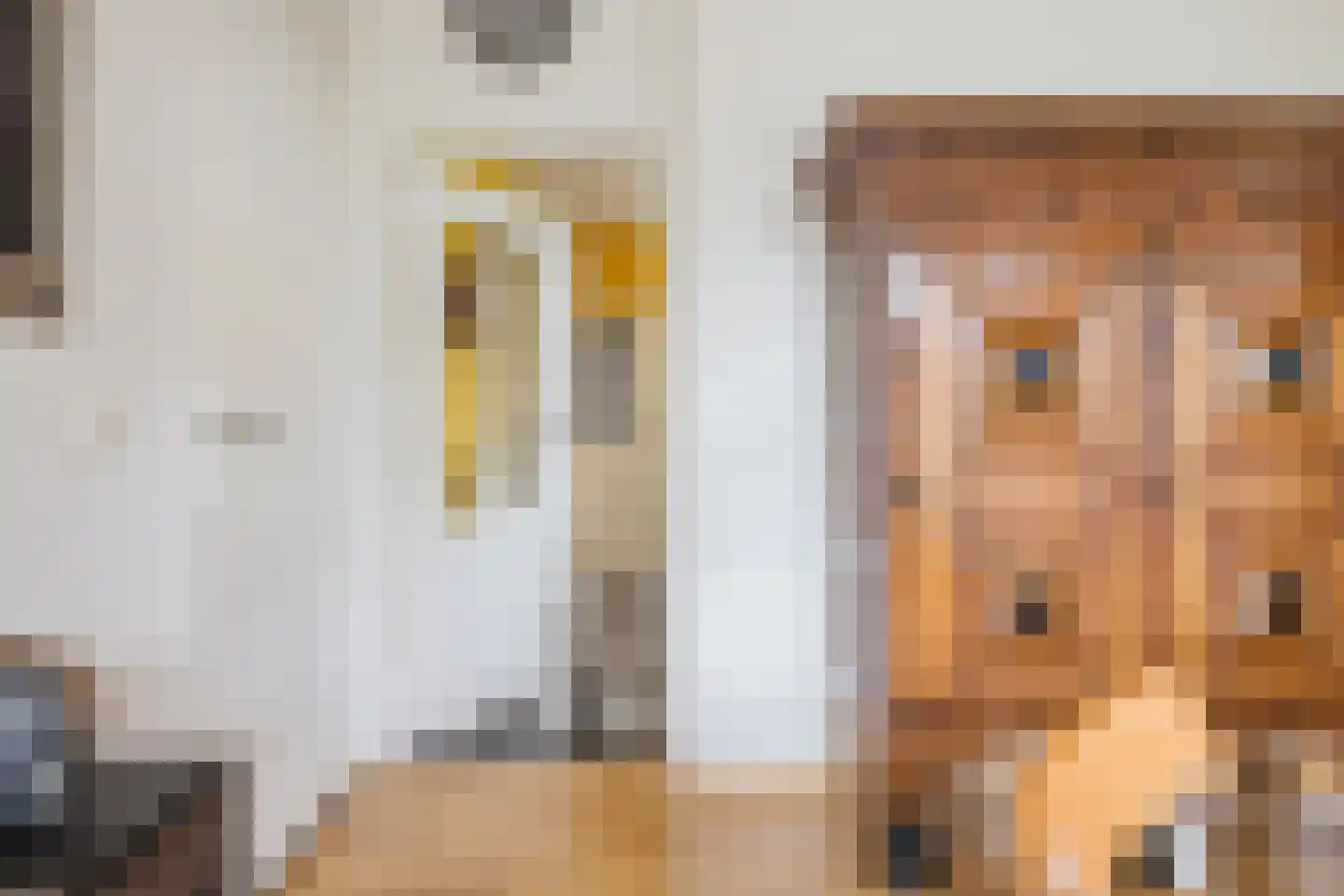 Vosseheer 1 Donkerbroek thumbnail 40