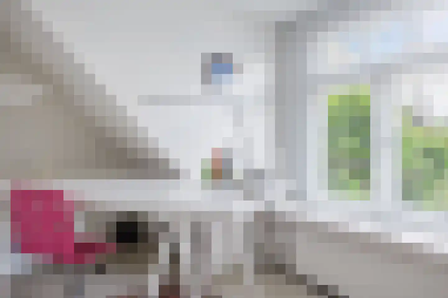 Vosseheer 1 Donkerbroek thumbnail 69