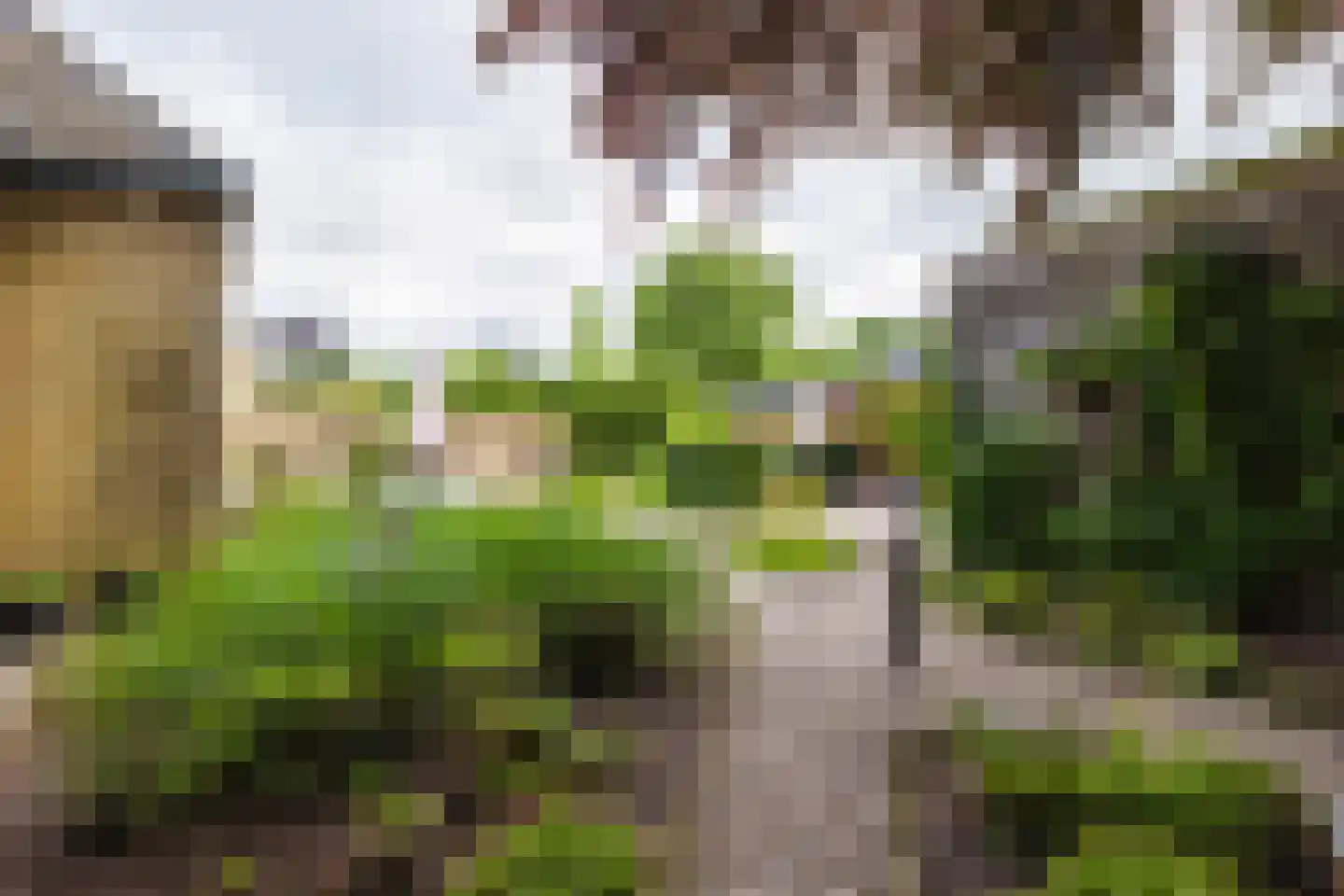 Vosseheer 1 Donkerbroek thumbnail 7
