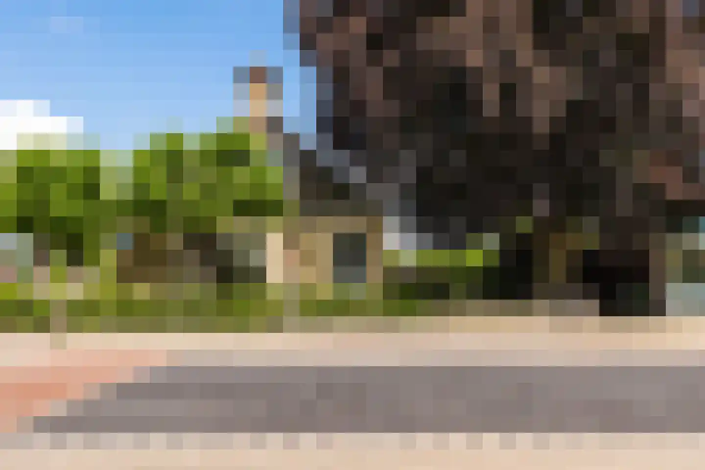 Vosseheer 1 Donkerbroek thumbnail 7