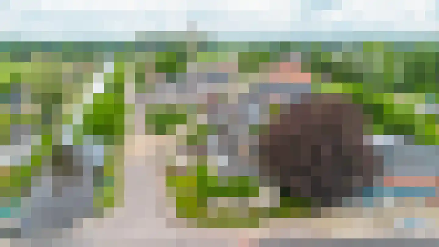 Vosseheer 1 Donkerbroek thumbnail 8
