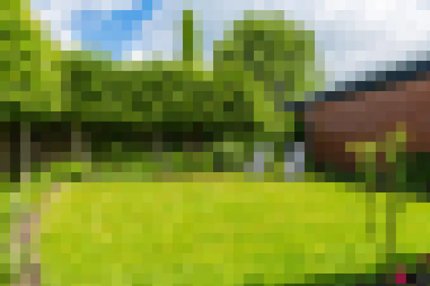 Vosseheer 1 Donkerbroek thumbnail 9