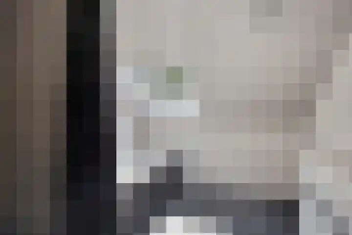 Vossehol 19 Oss thumbnail 27