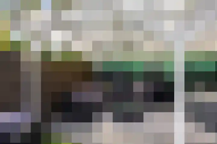 Vossehol 19 Oss thumbnail 32