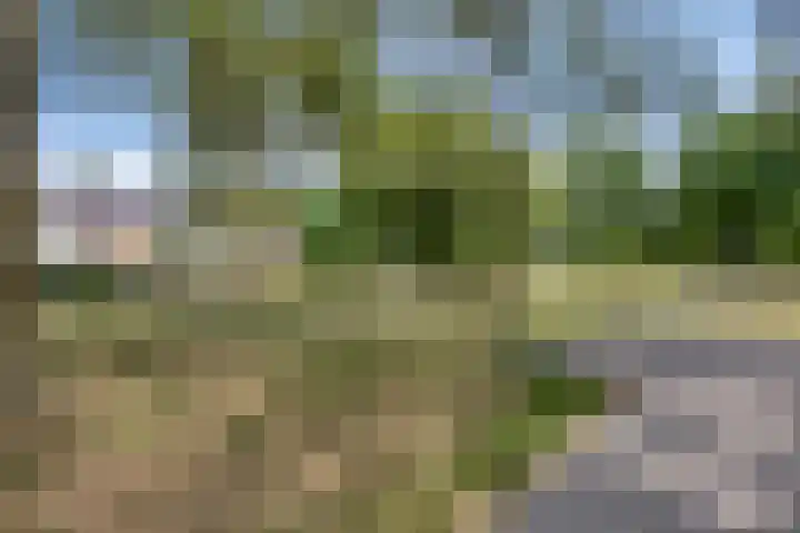 Vossehol 19 Oss thumbnail 37