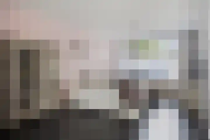 Vossehol 19 Oss thumbnail 7