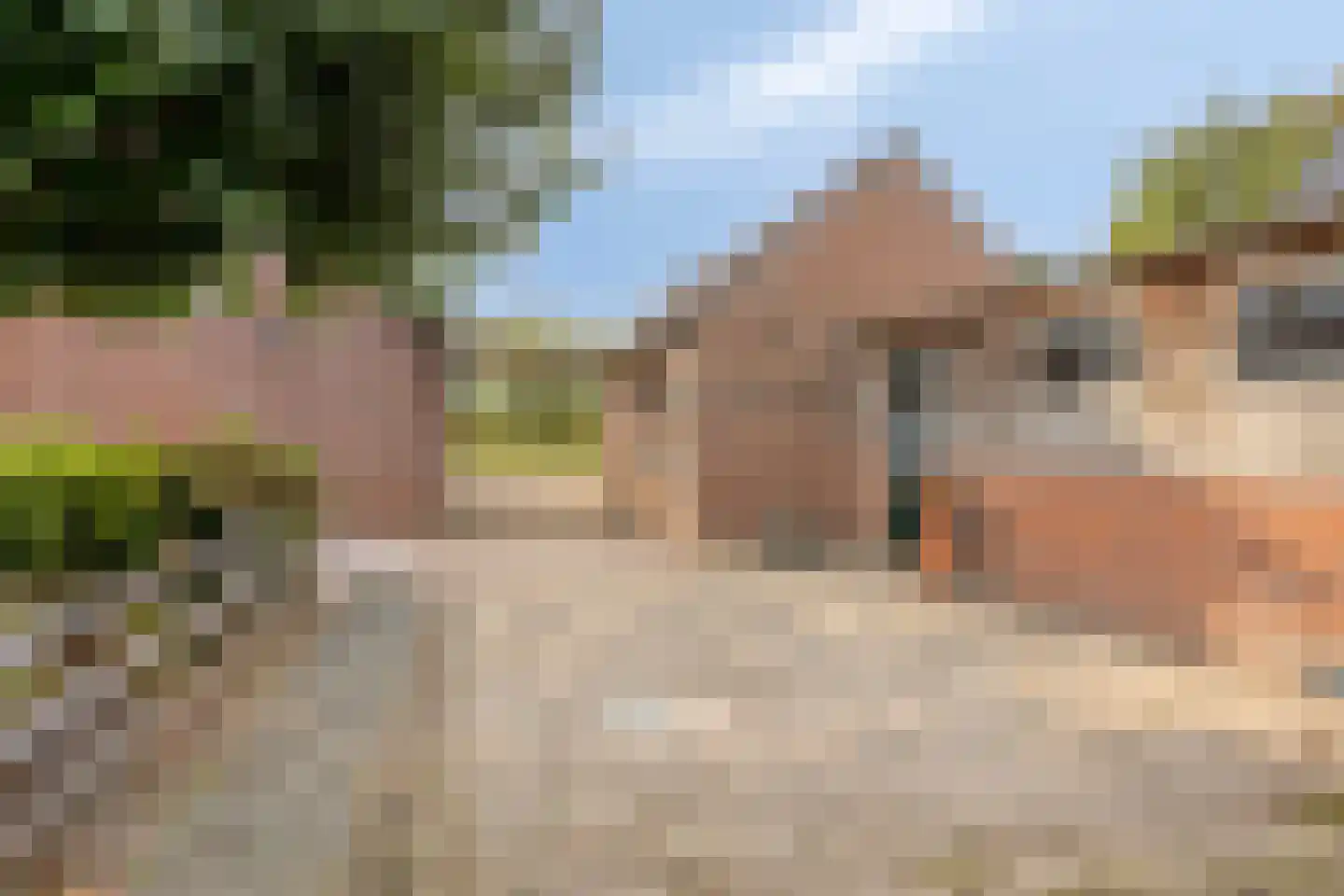 Vossehol 22 Berghem thumbnail 20