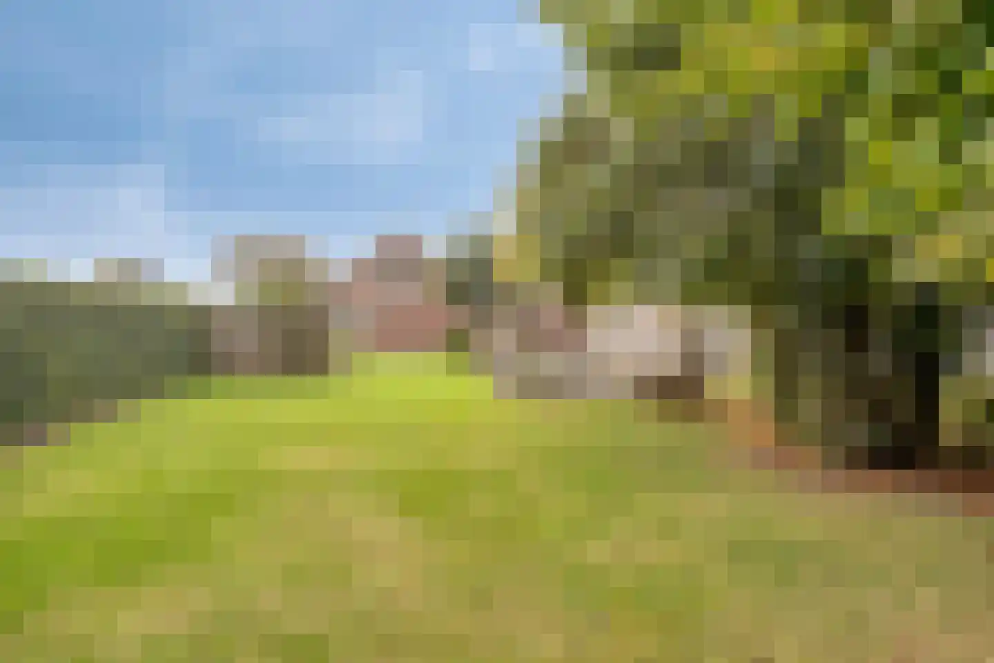 Vossehol 22 Berghem thumbnail 21