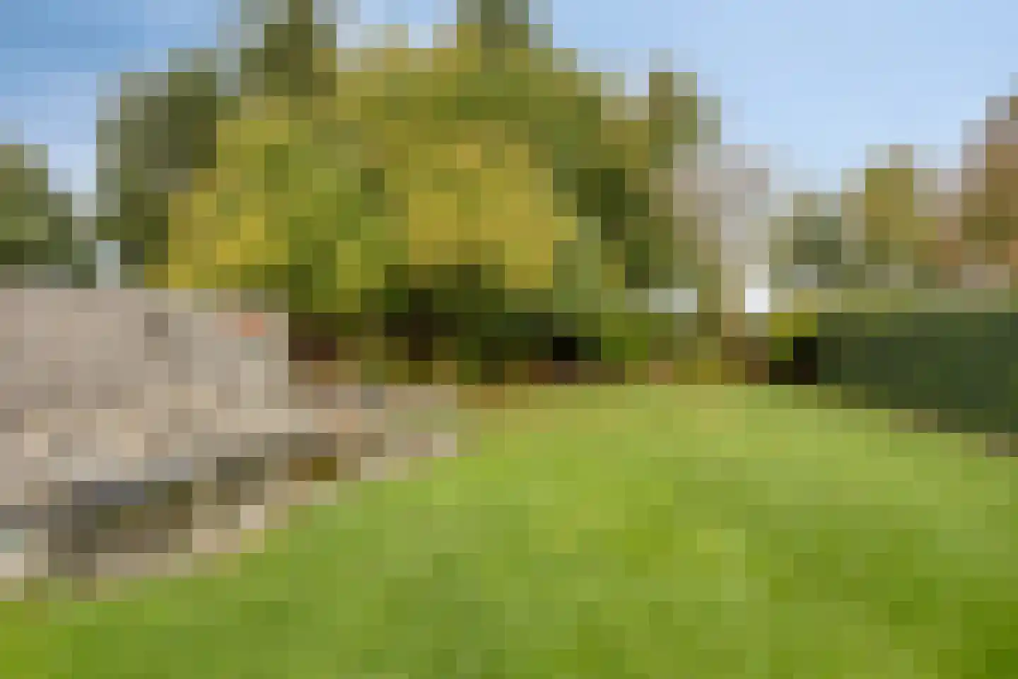 Vossehol 22 Berghem thumbnail 22