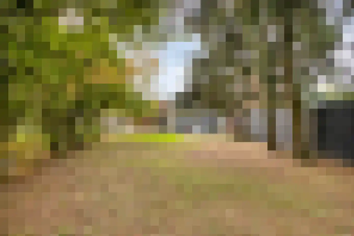 Vossehol 22 Berghem thumbnail 23