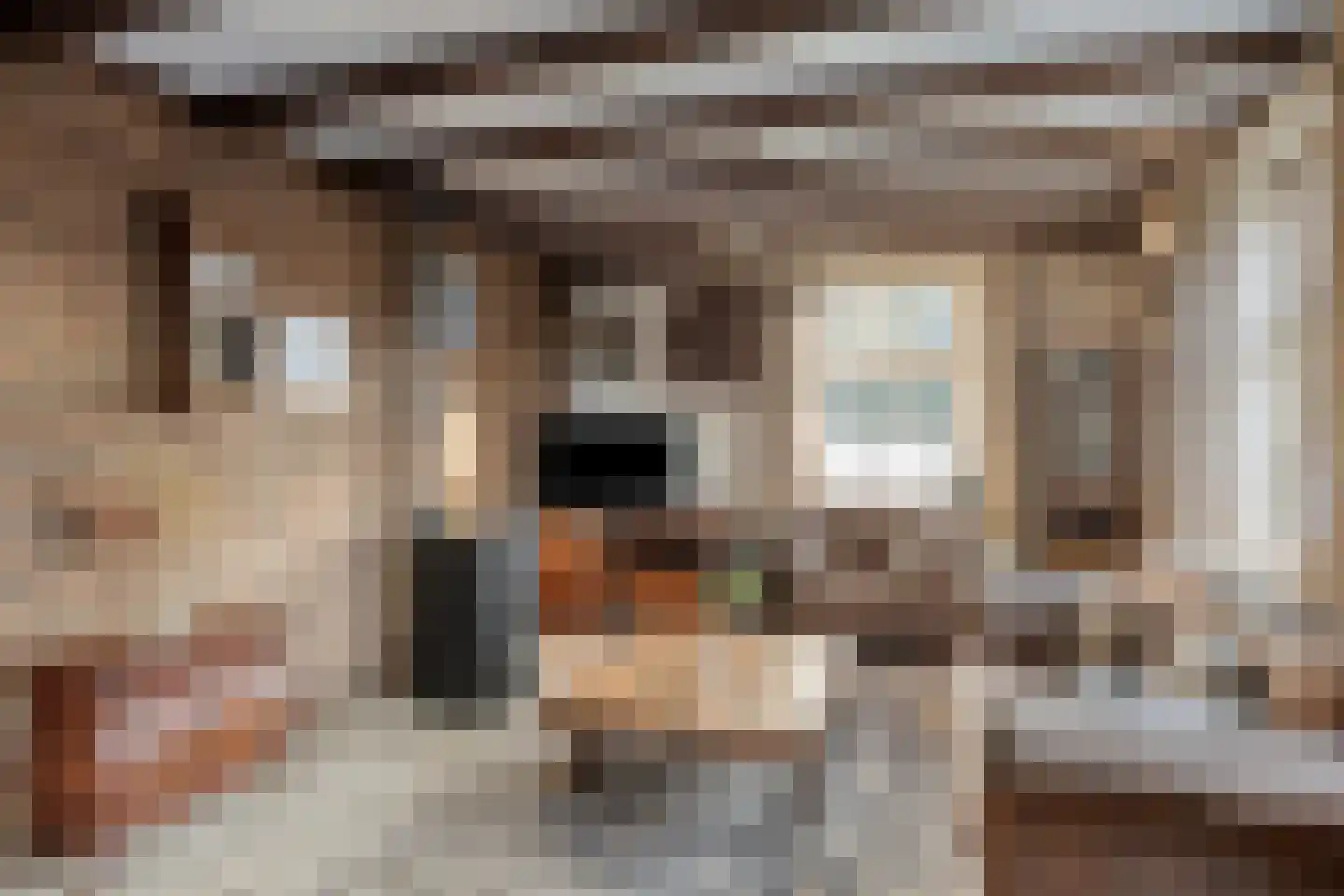 Vossehol 22 Berghem thumbnail 4
