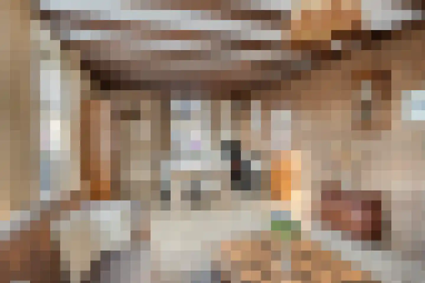 Vossehol 22 Berghem thumbnail 5