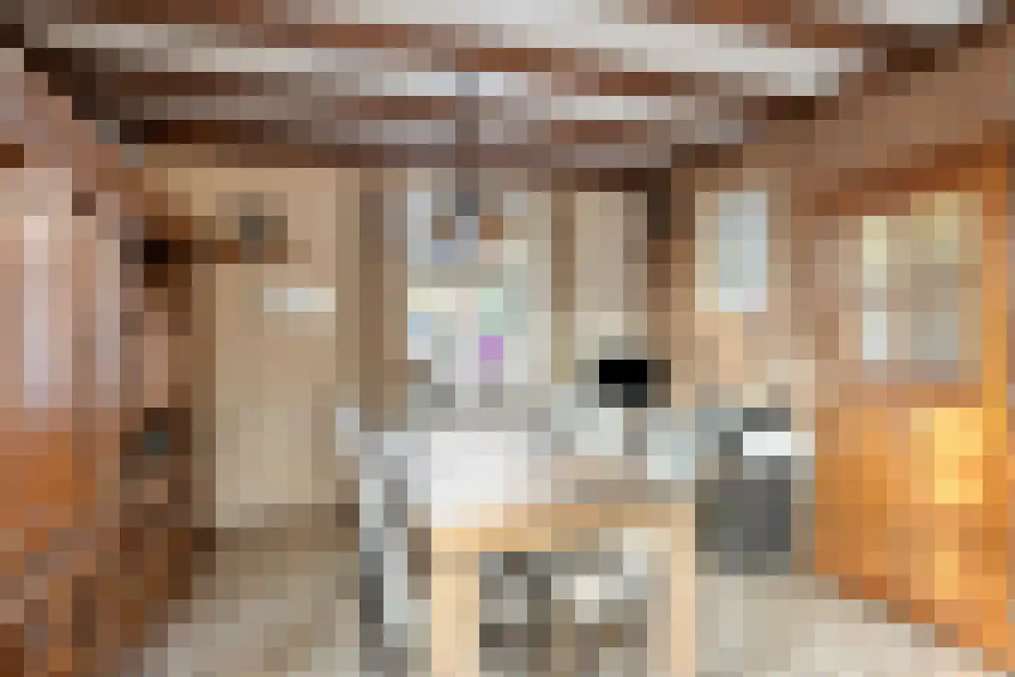 Vossehol 22 Berghem thumbnail 6