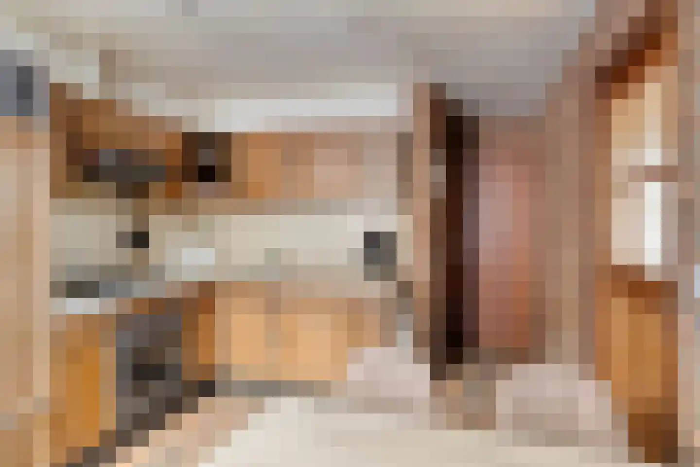 Vossehol 22 Berghem thumbnail 7