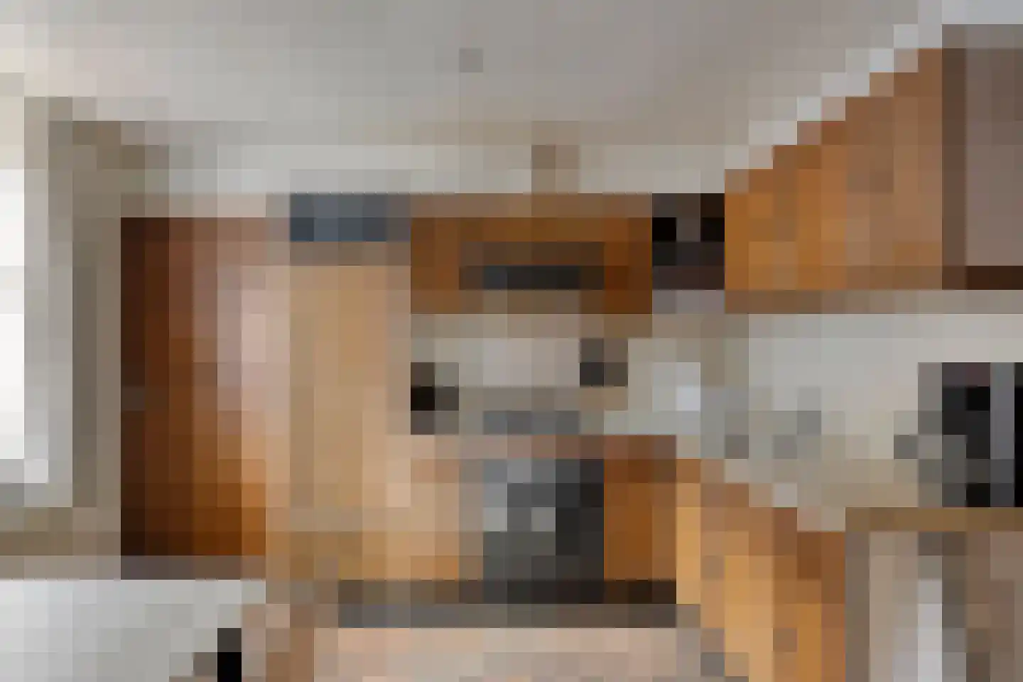 Vossehol 22 Berghem thumbnail 8