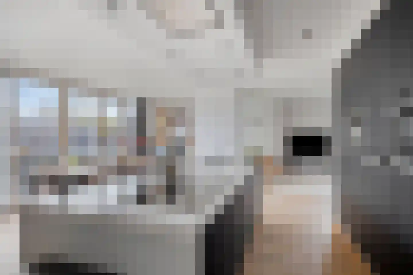 Vossehol 24 A Berghem thumbnail 15