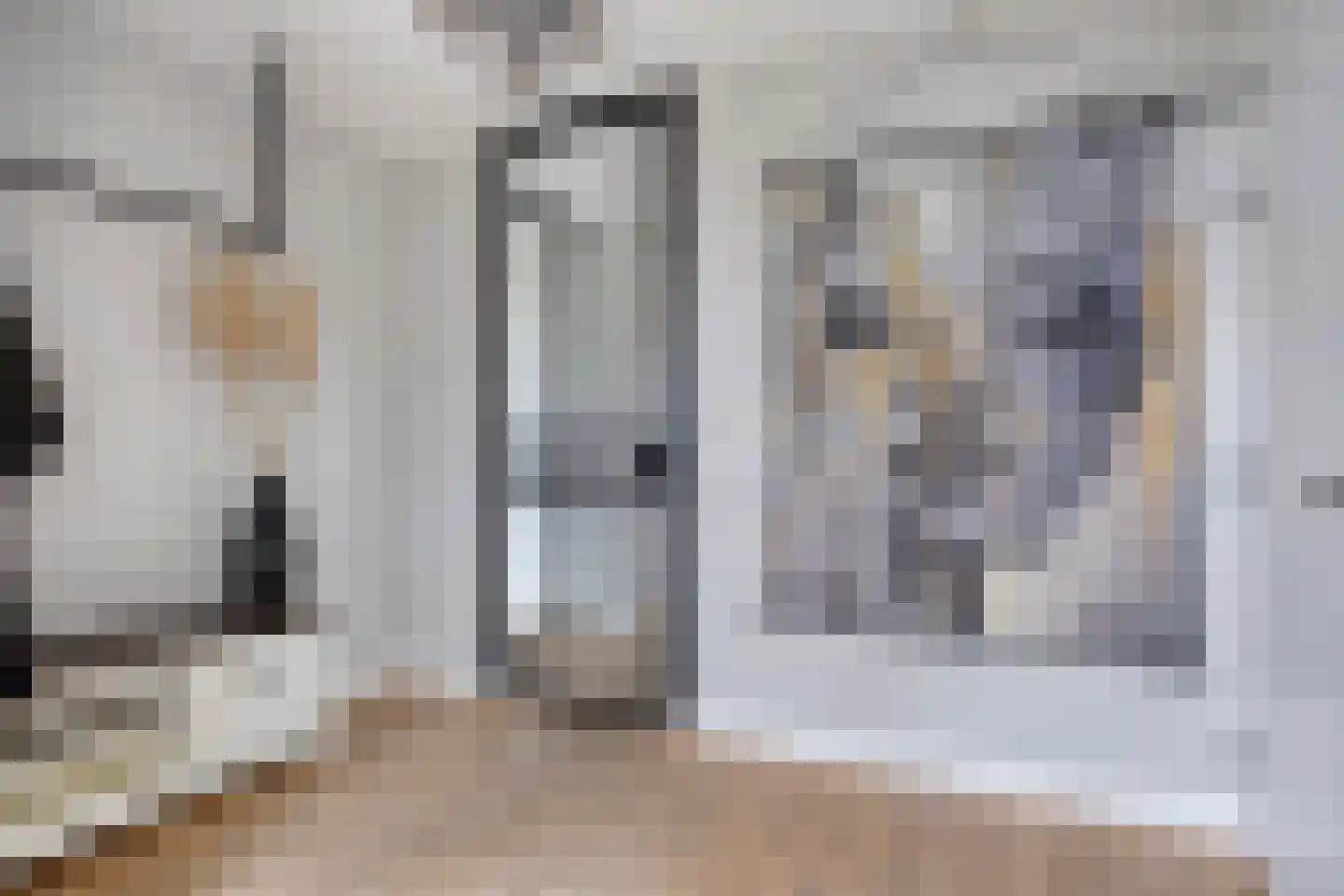 Vossehol 24 A Berghem thumbnail 19