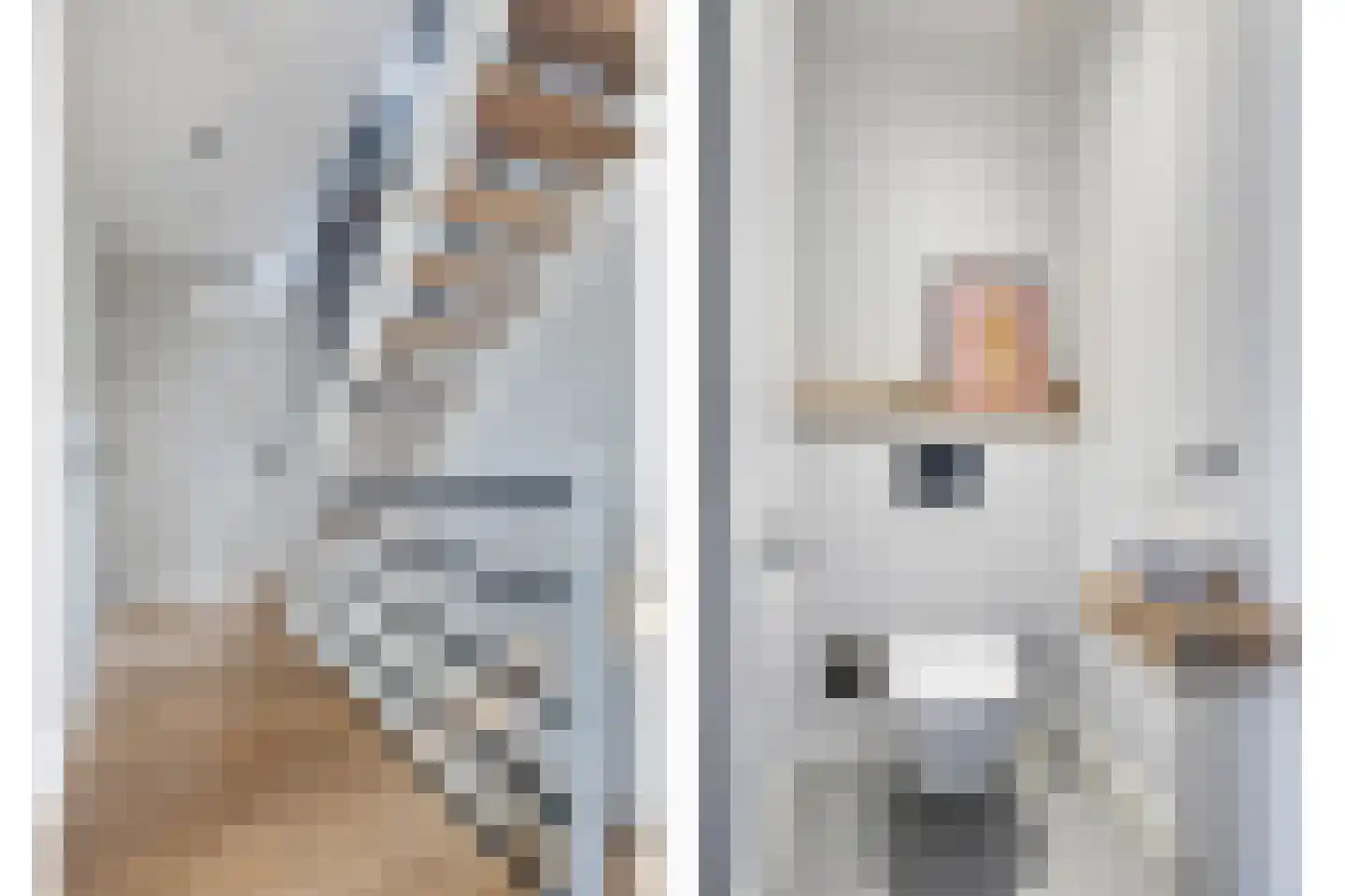 Vossehol 24 A Berghem thumbnail 26