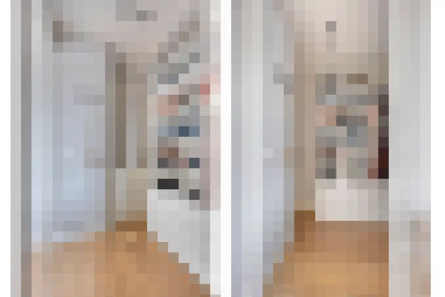 Vossehol 24 A Berghem thumbnail 37