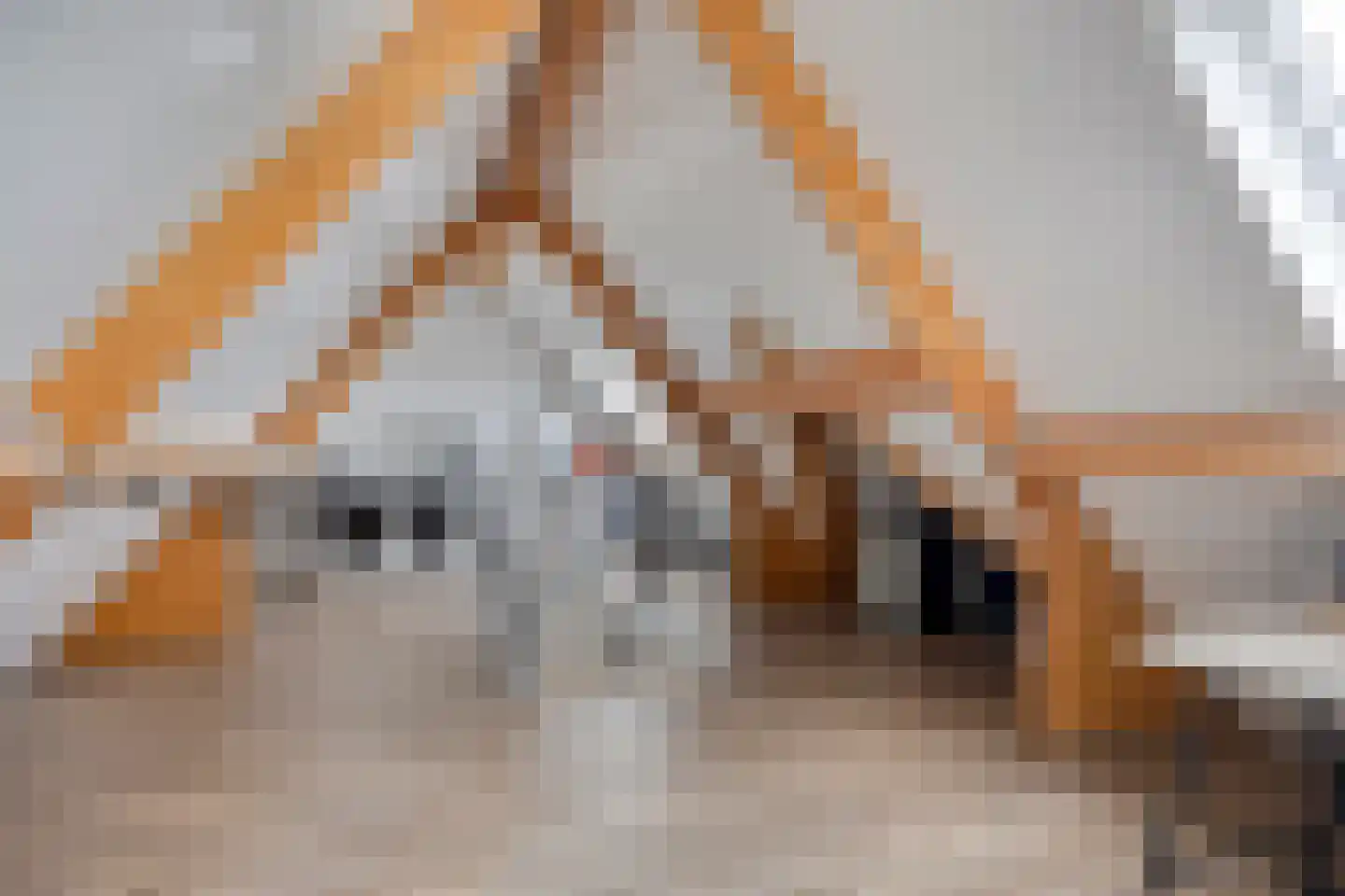 Vossehol 24 A Berghem thumbnail 45