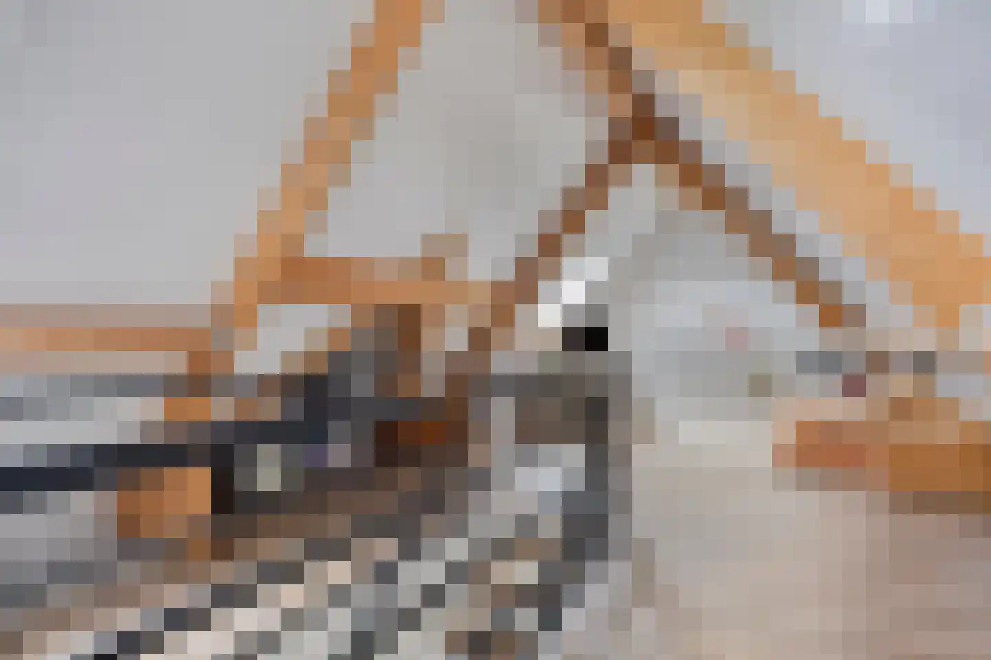 Vossehol 24 A Berghem thumbnail 47