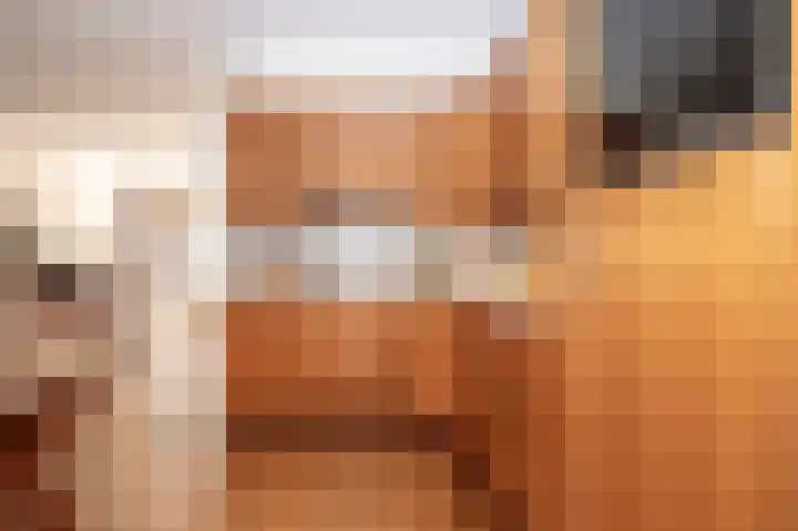 Vossehol 27 Cuijk thumbnail 10
