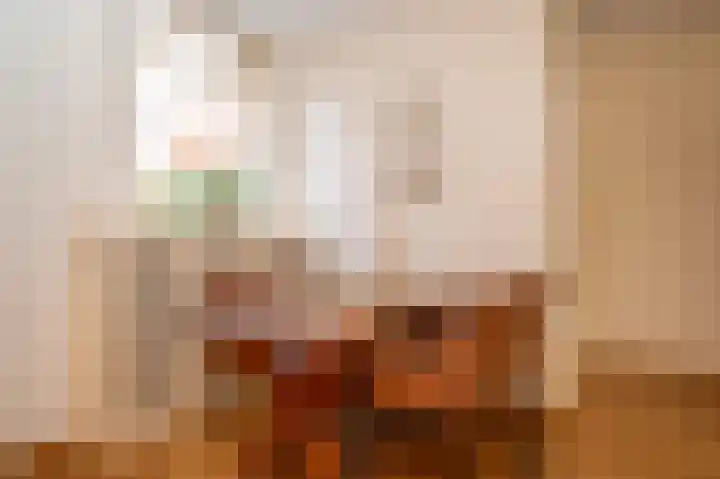 Vossehol 27 Cuijk thumbnail 12